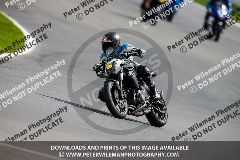 PJ Motorsport 2019;donington no limits trackday;donington park photographs;donington trackday photographs;no limits trackdays;peter wileman photography;trackday digital images;trackday photos